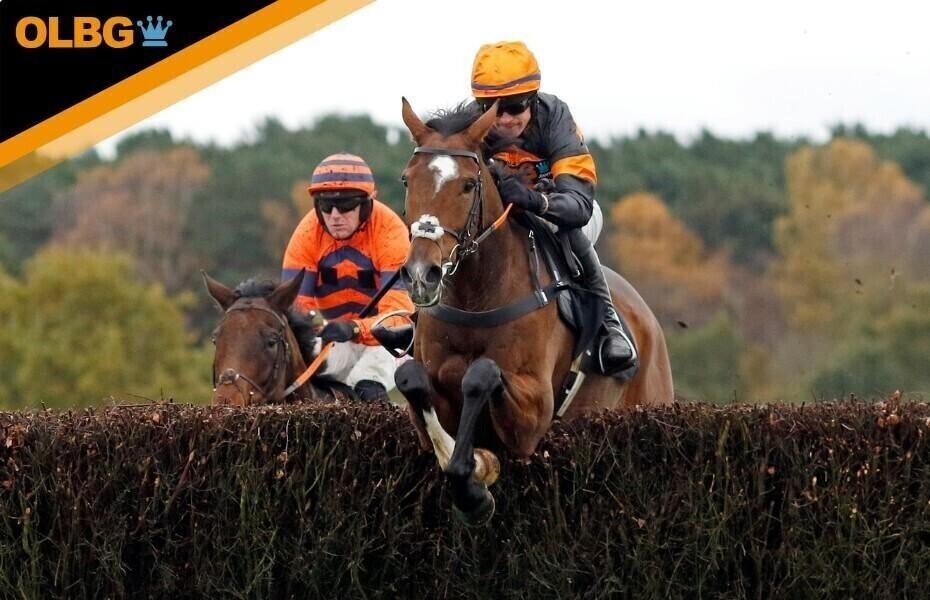 olbg at horse racing
