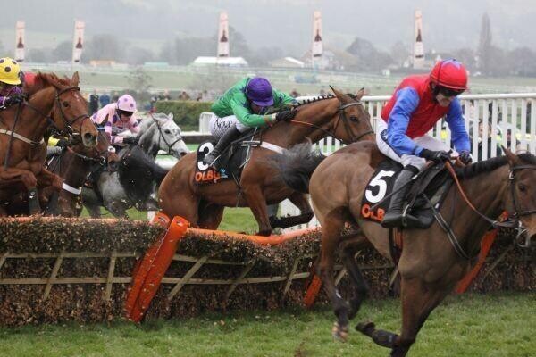 Horses over the fence