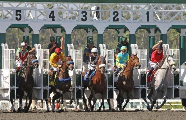 horse racing start