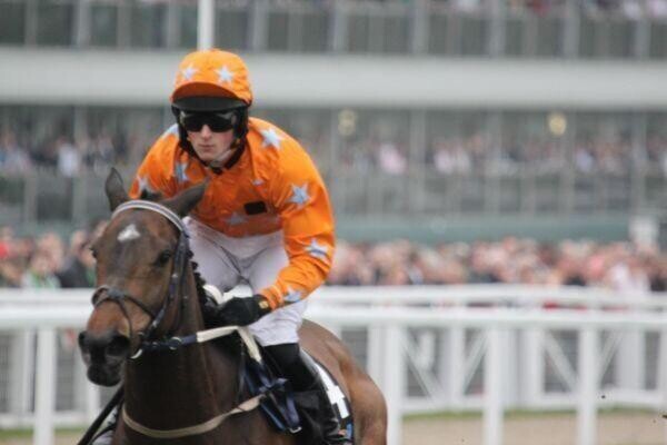 🏇 [Revealed] How to Read Horse Racing Form and Win