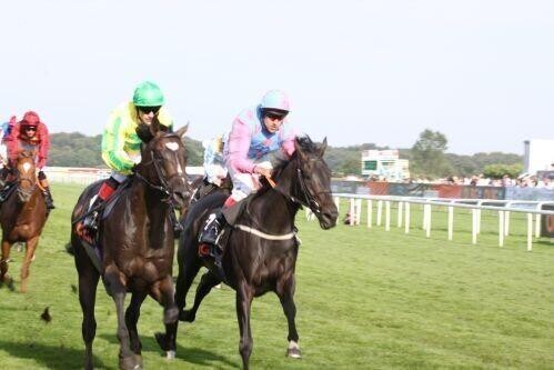 Horse racing