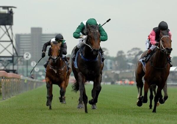 Horse racing