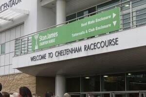 cheltenham
