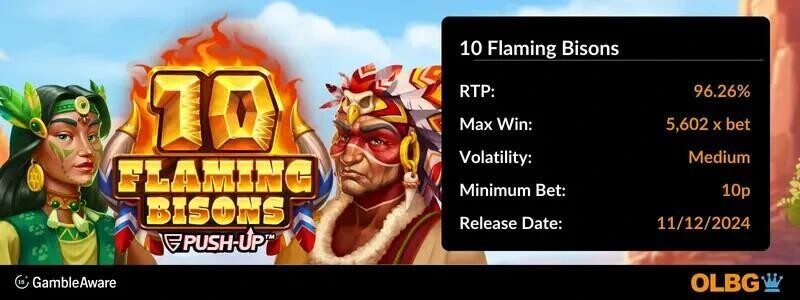  10 flaming bisons slot information banner: RTP, max win, volatility, minimum bet and release date