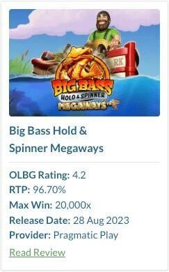 Info card on the Big Bass hold & Spinner megaways slot game