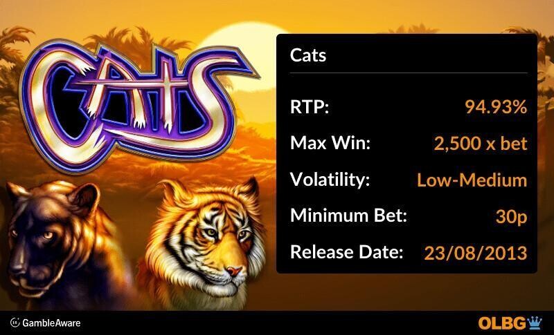 Cats slot information banner: RTP, max win, volatility, minimum bet and release date