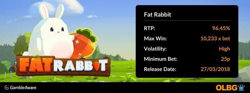 Fat Rabbit slot information banner: RTP, max win, volatility, minimum bet and release date