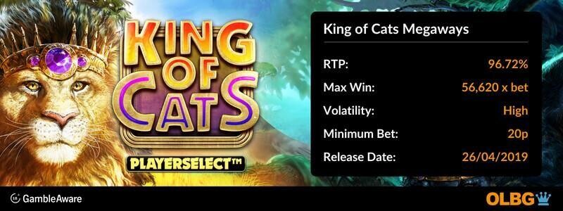 King of Cats Megaways slot information banner: RTP, max win, volatility, minimum bet and release date