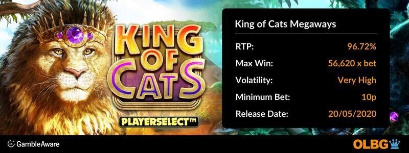 King of Cats Megaways slot information banner: RTP, max win, volatility, minimum bet and release date