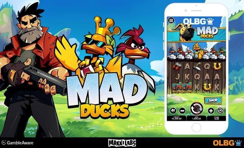 Mad Ducks slot preview image
