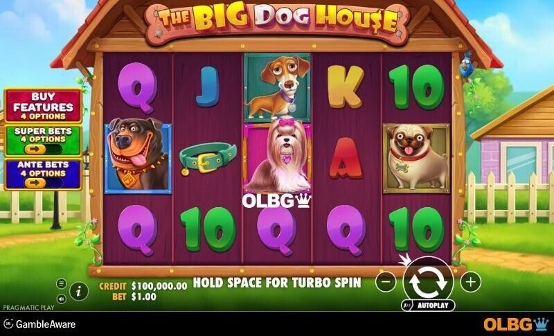 The Big Dog House slot base game screenshot