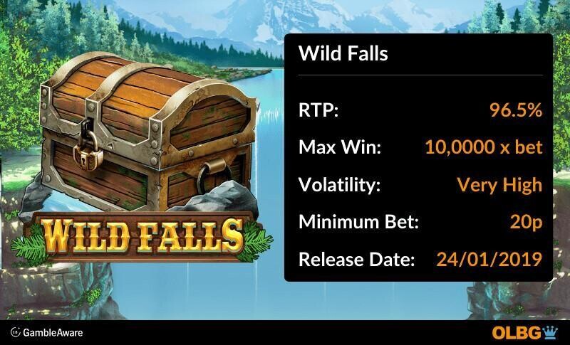 Wild Falls slot information banner: RTP, max win, volatility, minimum bet and release date