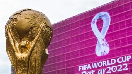 World Cup Stadium Insights