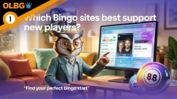 Which Bingo Sites Best Support New Players?