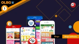 Top Online Bingo Software Platforms