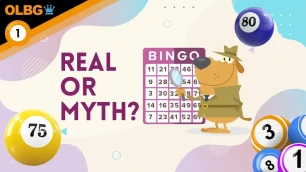 Bingo Strategy: Real or Myth? Let’s Find Out