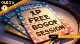 Bingo Tickets Explained