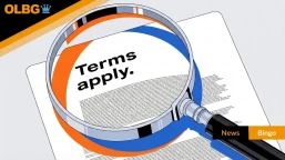 Do Players Really Read the Small Print on Bingo Bonuses?