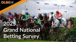 2025 Grand National Betting Survey