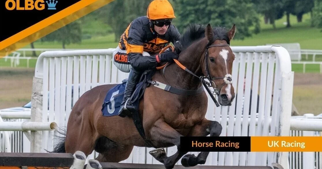Ulk Racing 🏇 The Decline in UK Racing Attendance - OLBG.com