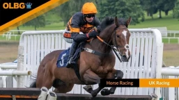 The Decrease in Attendance at UK Racing and Other Spectator Sports