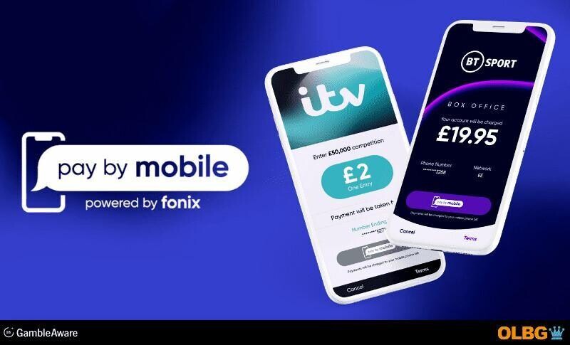 Other Services Pay By Mobile Interview banner