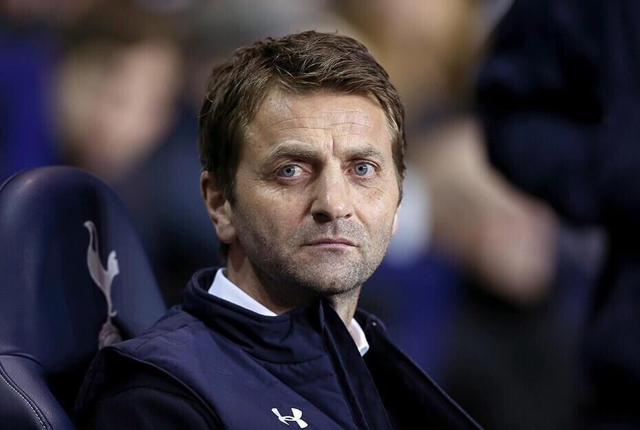 Tim Sherwood Tottenham manager