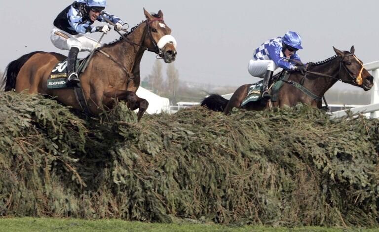 Topham Chase Preview, Tips, Runners & Trends (Grand National Meeting)