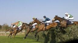 Grand National Betting Poll - Results Revealed