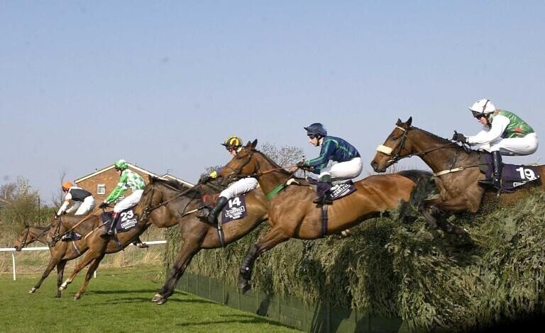 Grand National Betting Poll - Results Revealed
