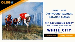 Greyhound Derby Betting, Preview and Guide