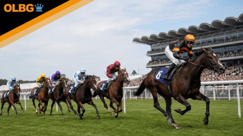Betway Trophy Heritage Handicap Preview, Tips, Runners & Trends (July Festival)