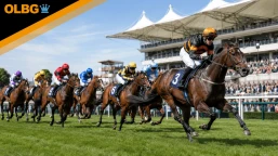 Bunbury Cup Preview, Tips, Runners & Trends (July Festival)