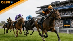 The Newmarket Cambridgeshire Meeting Preview & Statistics