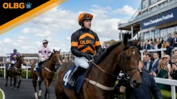 Cesarewitch Handicap Preview, Tips, Runners & Trends (Future Champions Festival)