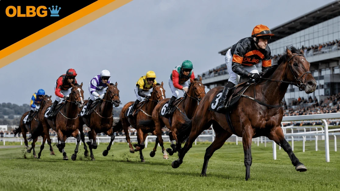 Coral Challenge Preview, Tips, Runners & Trends Coral Challenge Preview, Tips, Runners & Trends