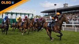 Cumberland Plate Preview, Tips, Runners & Trends