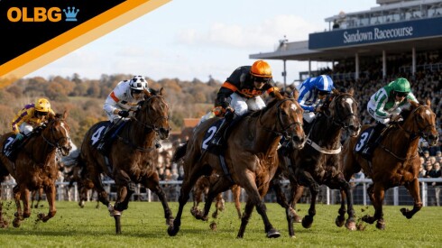 Coral Distaff Preview, Tips, Runners & Trends