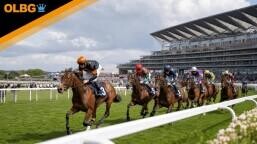Golden Gates Stakes Preview, Tips, Runners & Trends (Royal Ascot)