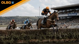 Haldon Gold Cup Preview, Tips, Runners & Trends