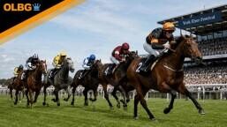 Harry's Half Million By Goffs Preview, Tips, Runners & Trends (Ebor Festival)
