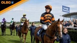 Irish Cambridgeshire Preview, Tips, Runners & Trends