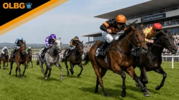 Irish Cesarewitch Preview, Tips, Runners & Trends