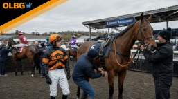 Kerry National Preview, Tips, Runners & Trends