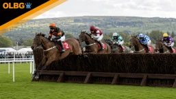 Mayo National Preview, Tips, Runners & Trends