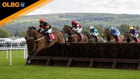 Mayo National Preview, Tips, Runners & Trends