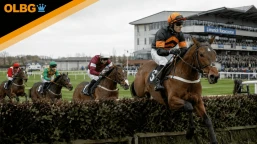 Munster National Preview, Tips, Runners & Trends