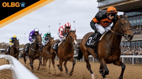 Northumberland Plate Preview, Tips, Runners & Trends