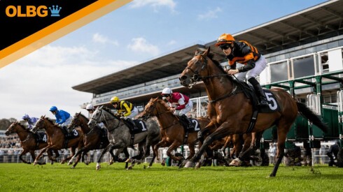 Old Newton Cup Preview, Tips, Runners & Trends