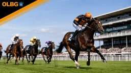 Ripon Silver Cup Preview, Tips, Runners & Trends